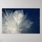 霜 ポスター (正面)