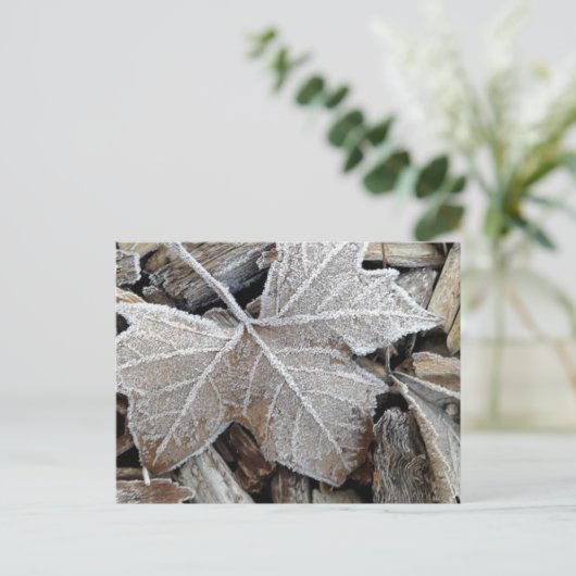 霜 ポストカード (スタンド正面)