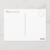 霜 ポストカード (裏面)