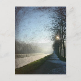 霜 ポストカード