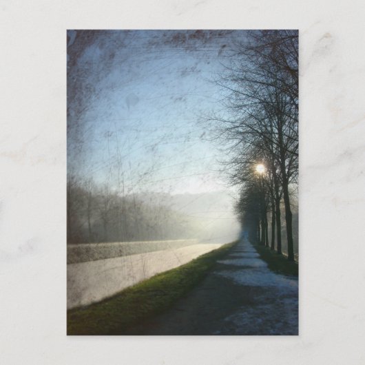 霜 ポストカード (正面)