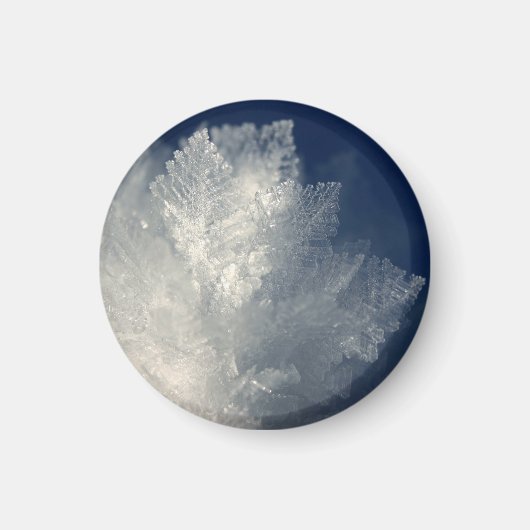 霜 マグネット (正面)