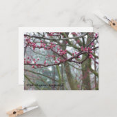 霧および発芽の木の聖書の詩の悔やみや弔慰カード カード (正面/裏面インサイチュ)