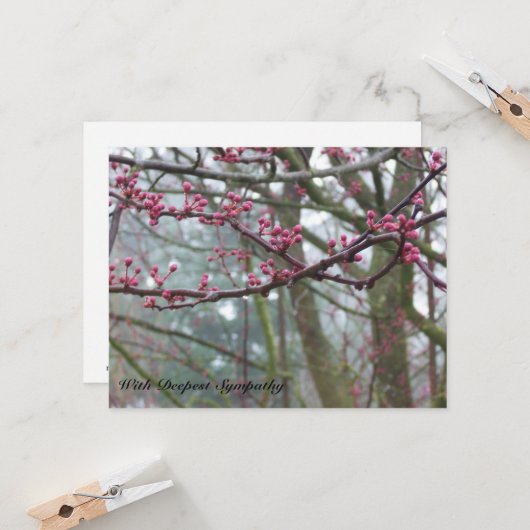 霧および発芽の木の聖書の詩の悔やみや弔慰カード カード (正面/裏面インサイチュ)