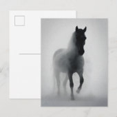 霧から現れる不思議な黒馬 ポストカード (正面/裏面)