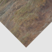 霧がかったスコットランドの風景の中の2つのシェトランドのポニー 薄葉紙 (詳細)