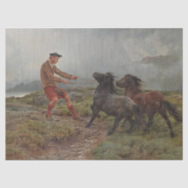 霧がかったスコットランドの風景の中の2つのシェトランドのポニー 薄葉紙