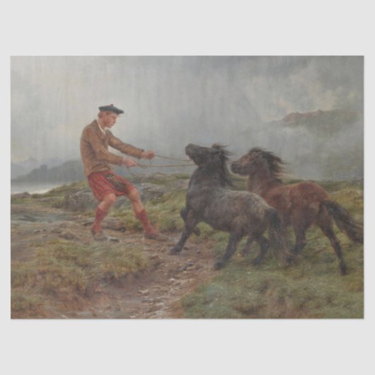 霧がかったスコットランドの風景の中の2つのシェトランドのポニー 薄葉紙 (正面)