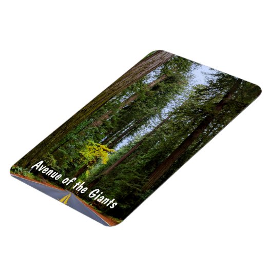 霧がかったレッドウッドの森を通って前方にまっすぐな道 マグネット (左側)