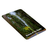 霧がかったレッドウッドの森を通って前方にまっすぐな道 マグネット (右側)