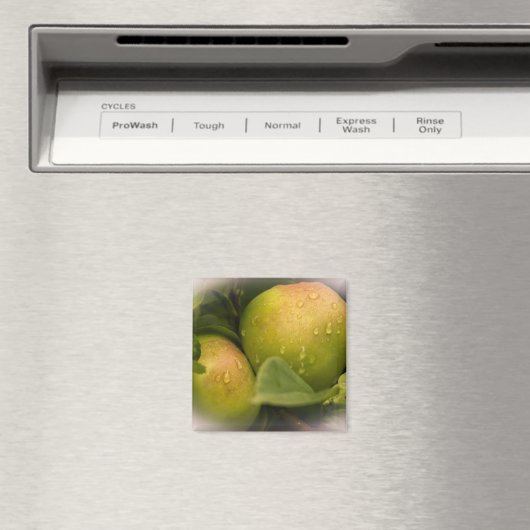 霧がかった新緑のリンゴ縁ど マグネット (インサイチュ (食洗機))