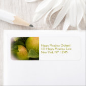 霧がかった新緑のリンゴ縁ど ラベル (インサイチュ)