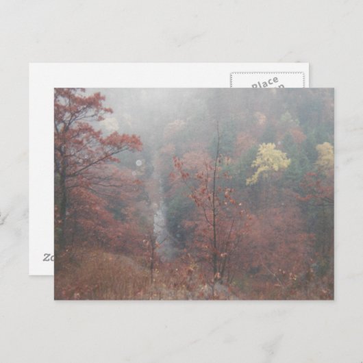 霧がかった秋の森 ポストカード (正面/裏面)