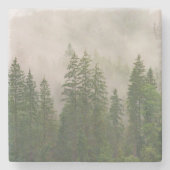 霧がかった霧の森の木 ストーンコースター (正面)