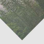 霧がかった霧の森の木 薄葉紙 (詳細)
