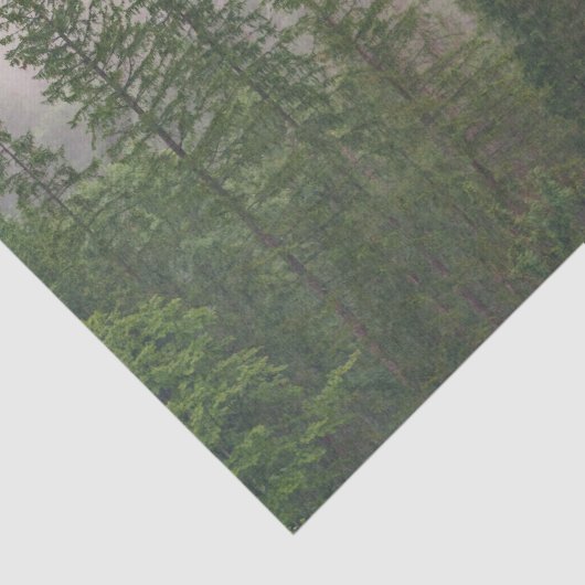 霧がかった霧の森の木 薄葉紙 (詳細)