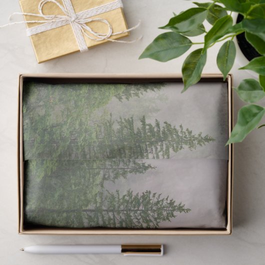 霧がかった霧の森の木 薄葉紙 (ギフト)