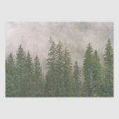 霧がかった霧の森の木 薄葉紙 (正面)