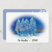 霧がかった青いトウヒの木ノーザンラ絵画イト (正面/裏面)