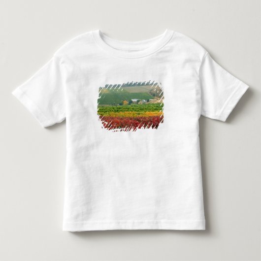 霧がゲーリング・ブラザーズ・ワイナリーに迫る トドラーTシャツ (正面)