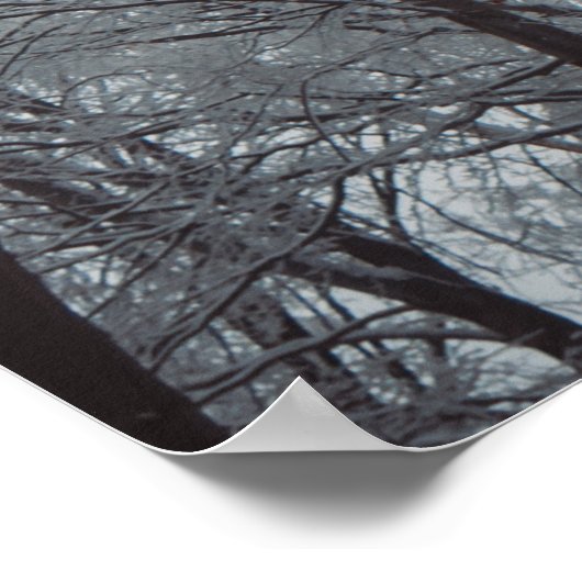 霧が立つ冬の森 ポスター (角)