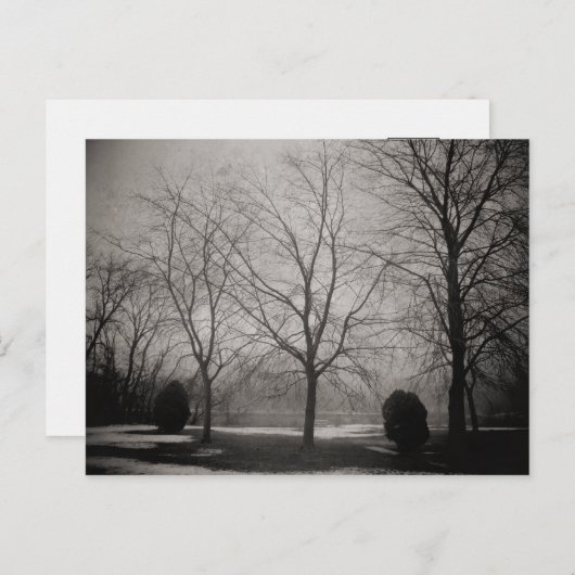 霧が立つ冬の雪のアートはがき ポストカード (正面/裏面)