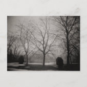 霧が立つ冬の雪のアートはがき ポストカード (正面)