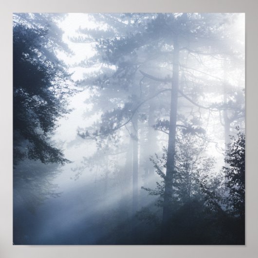 霧が立つ森の中を照らす太陽 ポスター (正面)