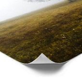 霧が立つ秋の朝の寂しい木 ポスター (角)