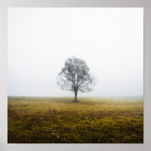 霧が立つ秋の朝の寂しい木 ポスター (正面)