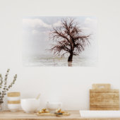 霧で独身の沼の木を張る ポスター (キッチン)