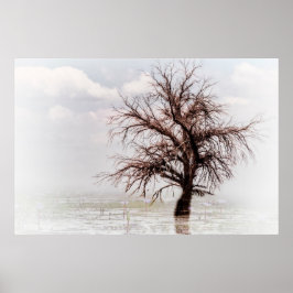 霧で独身の沼の木を張る ポスター