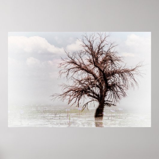 霧で独身の沼の木を張る ポスター (正面)