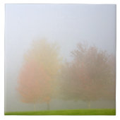 霧で覆われる秋の木 タイル (正面)