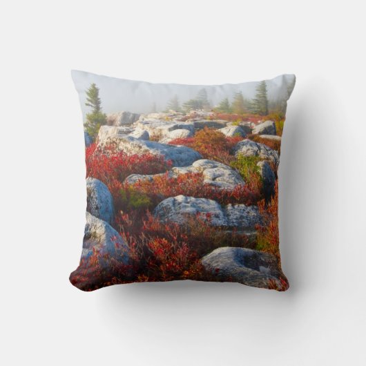 霧と景色トロッコの芝地の荒野の秋 クッション (正面)