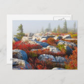 霧と景色トロッコの芝地の荒野の秋 ポストカード (正面/裏面)