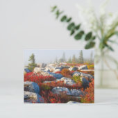 霧と景色トロッコの芝地の荒野の秋 ポストカード (スタンド正面)