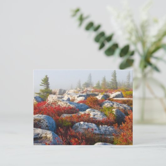 霧と景色トロッコの芝地の荒野の秋 ポストカード (スタンド正面)