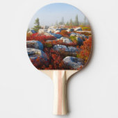 霧と景色トロッコの芝地の荒野の秋 卓球ラケット (正面)