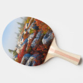 霧と景色トロッコの芝地の荒野の秋 卓球ラケット (横)