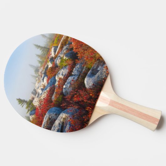 霧と景色トロッコの芝地の荒野の秋 卓球ラケット (横)