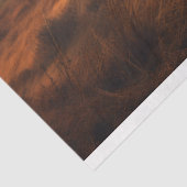 霧に包まれたハイランドカウデコペ紙 薄葉紙 (詳細)