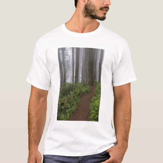 霧に包まれた巨大なセコイアの木々の道 Tシャツ (正面)