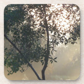 霧に覆われた朝日 コースター (正面)