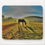 霧のフィールドで日の出で馬の放牧の写真 マウスパッド<br><div class="desc">"Joyful"について:3つのホッキョクグマは楽しむの魔法の日遊。地球素晴らしの日やその他の環境をテーマにした集会のシーン。美しい子供へ人も大人も。このZazzleストアの他のカッコいいギフトアイテムの様々な上で利用可能。スカイ・ライアン・エバンスによるアートワーク©</div>
