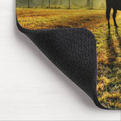 霧のフィールドで日の出で馬の放牧の写真 マウスパッド (コーナー)