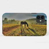 霧のフィールドで日の出で馬の放牧の写真 Case-Mate iPhoneケース (裏面(横))