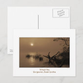 霧のベイ朝のはがき ポストカード (正面/裏面)