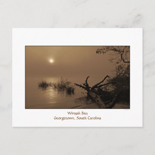 霧のベイ朝のはがき ポストカード (正面)