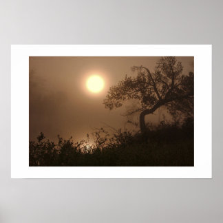 霧の上昇 ポスター